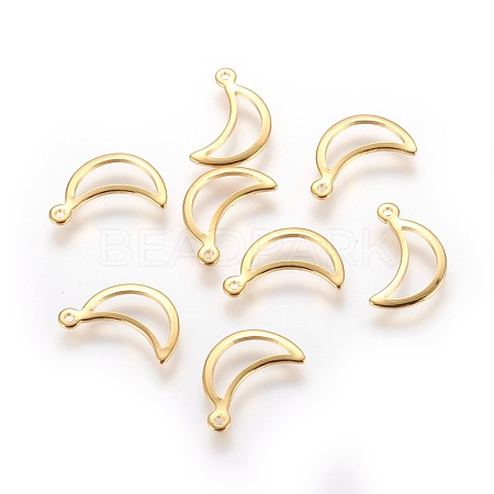 304 Stainless Steel Charms STAS-P227-20G-1