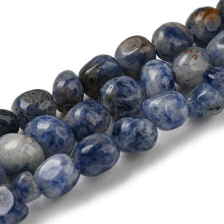 Natural Blue Spot Jasper Bead Strands G-F465-53-1