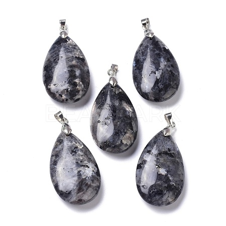 Natural Larvikite Pendants G-D084-01P-B06-1