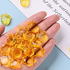 Transparent Acrylic Pendants TACR-S154-28B-81-5