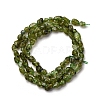 Natural Peridot Beads Strands G-I389-A27-3