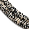 Natural Dalmatian Jasper Beads Strands G-Q159-B37-01-4