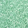 Imitation Cat Eyes Glass Seed Beads X-SEED-H003-03Y-2