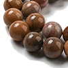 Natural Petrified Wood Round Bead Strands X-G-F266-08-8mm-3