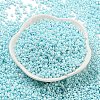 Baking Paint Glass Seed Beads SEED-S042-05A-35-2