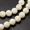 Shell Beads Strands SSHEL-E571-39-6mm-3