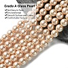 Eco-Friendly Glass Pearl Beads Strands HY-A008-8mm-RB092-3