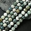 Natural Tree Agate Round Gemstone Beads Strands G-R255-10mm-1