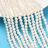 Natural Cultured Freshwater Pearl Beads Strands PEAR-L034-09A-1