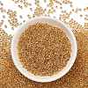 TOHO 11/0 Round Beads SEED-TR11-0701-3
