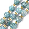 Electroplated Natural Druzy Geode Crystal Beads Strands G-G459-02L-1