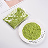 8/0 Glass Seed Beads X2-SEED-A010-3mm-44-5