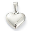 304 Stainless Steel Pendants X-STAS-P278-01C-P-2