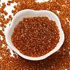 Spray Painted Glass Seed Beads SEED-F005-05A-03-2
