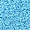 MIYUKI Round Rocailles Beads SEED-JP0008-RR0647-3