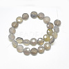Natural Grey Agate Beads Strands G-S357-F08-2