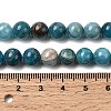 Natural Apatite Beads Strands G-F674-04-8mm-4