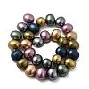 Shell Pearl Beads Strands BSHE-F013-01I-2