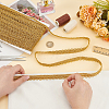 Polyester Braided Metallic Lace Trim SRIB-WH0011-180A-01-3