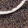 MIYUKI Round Rocailles Beads X-SEED-G008-RR0342-1