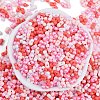 Glass Seed Beads SEED-K010-03P-3