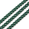 Spray Painted 304 Stainless Steel Curb Chains STAS-B067-05A-07-1