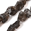 Natural Smoky Quartz Beads Strands G-S386-C08-2