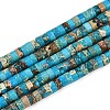 Natural Imperial Jasper Beads Strands G-Q171-A01-01L-1