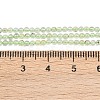 Natural Prehnite Beads Strands G-C255-B03-2mm-5