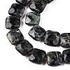 Natural Kambaba Jasper Beads Strands G-T138-171-3