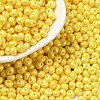 6/0 Glass Seed Beads SEED-L011-08A-17-1
