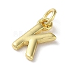 Rack Plating Brass Charms KK-P245-06G-K-2