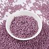 MIYUKI Round Rocailles Beads X-SEED-G008-RR0645-3