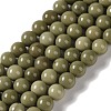 Natural Alashan Agate Beads Strands G-P530-B05-03-1