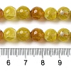Dyed & Heated Natural Fire Crackle Agate Beads Strands G-P539-B01-13-5