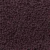 MIYUKI Round Rocailles Beads X-SEED-G009-RR0497-3