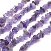 1 Strand Natural Amethyst Chip Bead Strands G-DJ0001-04-1