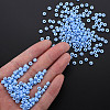 6/0 Glass Seed Beads SEED-T005-14-B20-6