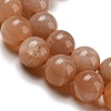 Round Natural Sunstone Beads Strands X-G-F222-33-8mm-1-6
