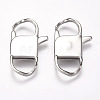 Tarnish Resistant 304 Stainless Steel Lobster Claw Clasps STAS-I082-13P-04-1