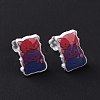 Acrylic Cat Stud Earrings with Platic Pins for Women EJEW-F293-04C-3