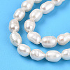 Natural Cultured Freshwater Pearl Beads Strands PEAR-N012-04U-01-4
