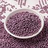 MIYUKI Round Rocailles Beads SEED-X0055-RR1867-2