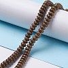 Natural Fossil Coral Beads Strands G-H269-04-2