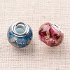 Spray Painted Glass European Beads GPDL-J030-M-2