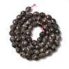 Natural Syenite Beads Strands G-K376-F09-01-3