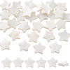 60Pcs Natural Shell Beads Strands SHEL-PH0002-30-1