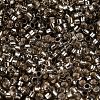 Glass Seed Beads SEED-S042-04A-09-3