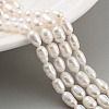 Natural Cultured Freshwater Pearl Beads Strands PEAR-P062-05C-1