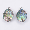 Abalone Shell/Paua Shell Big Pendants SSHEL-L008-15P-2